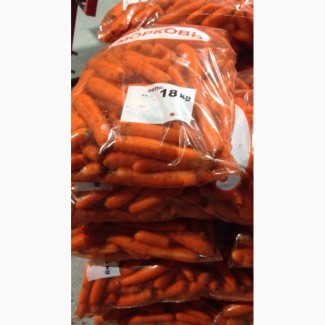Морковь МЫТАЯ оптом. Своя мойка