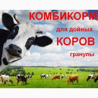 Комбикорм для дойных коров КК-60/1(гранулы)