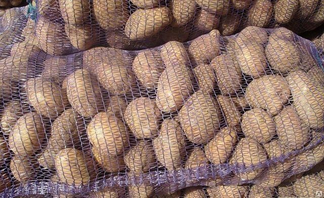 Фото 2. Картофель оптом от 20 тонн кфх