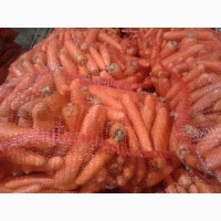 Продаём морковь оптом от производителя