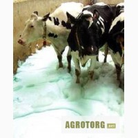 Обработка, гигиена и лечение копыт у коров. Инновационная пенная система Kovex