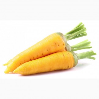 Морковь желтая опт от сельхозпроизводителя
