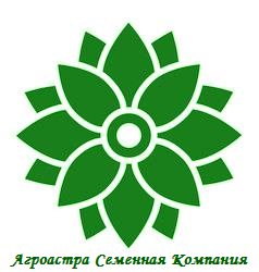 Фото 4. Семена подсолнечника сорт Азовский РС1