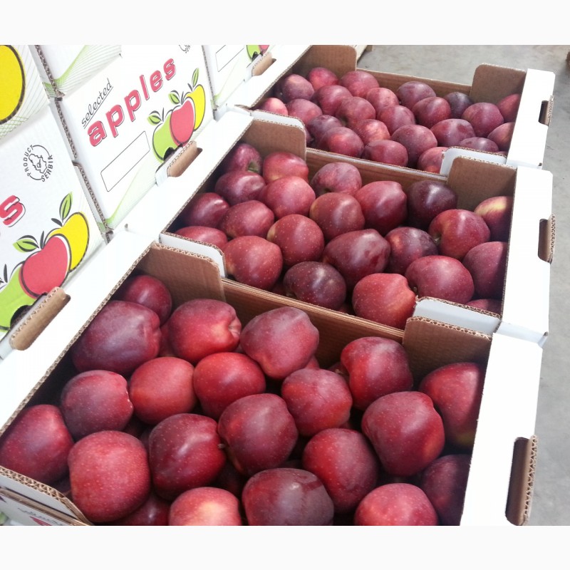 Фото 3. Продаем яблоки из Сербии