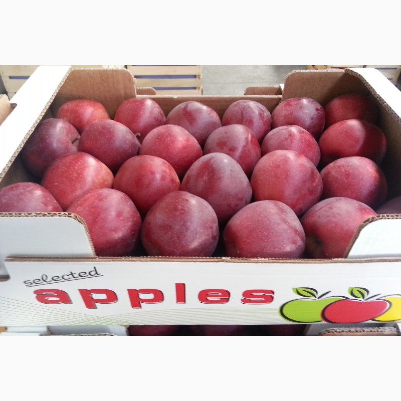 Фото 5. Продаем яблоки из Сербии