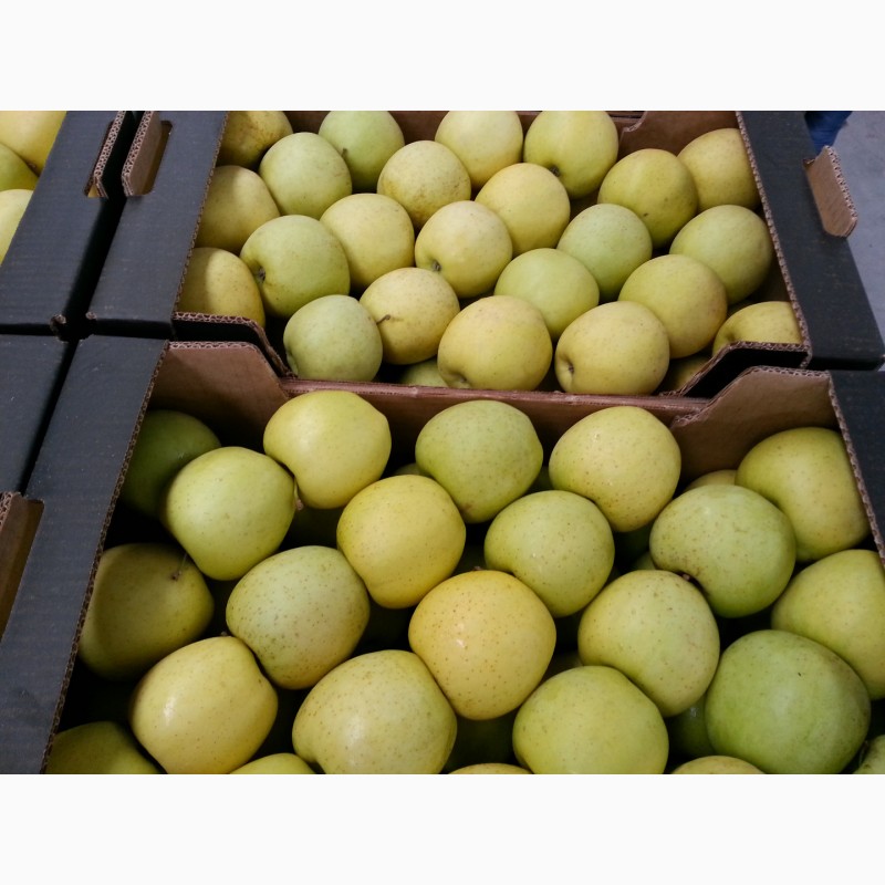 Фото 9. Продаем яблоки из Сербии