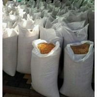Зерно кукурузы 385 кг
