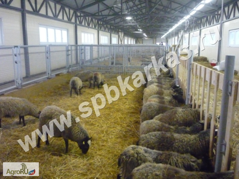 Фото 4. Оборудование для содержания коз овец