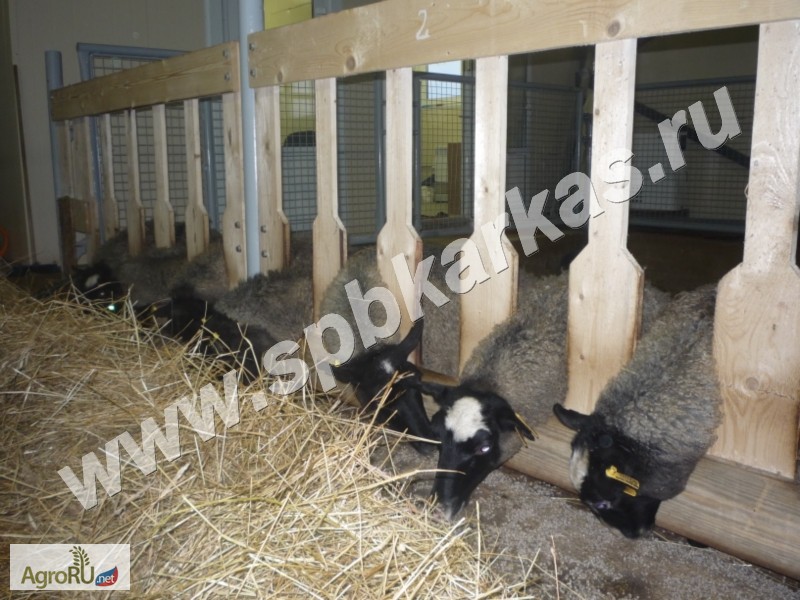 Фото 6. Оборудование для содержания коз овец