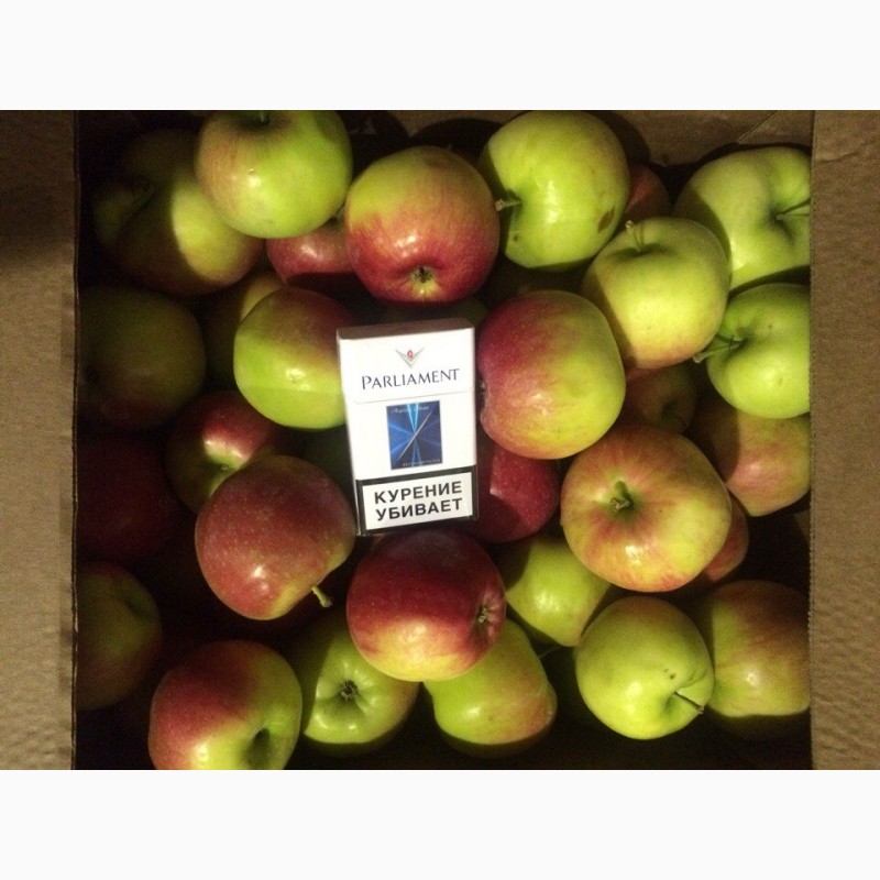Фото 3. Яблоки оптом от 35р/кг. Производитель