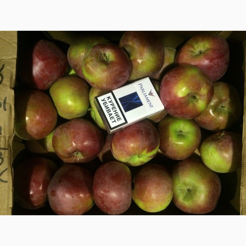 Фото 4. Яблоки оптом от 35р/кг. Производитель
