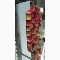 Продаём яблоки краснодарские, оптом от фермеров