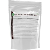 Bacillus azotofixans ВА55 Organic