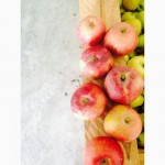 Реализуем краснодарские яблоки 1-го и 2-го сорта, оптом от фермера