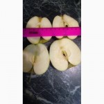 Реализуем краснодарские яблоки 1-го и 2-го сорта, оптом от фермера