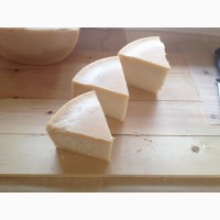 Продаю натуральный полутвердый сыр