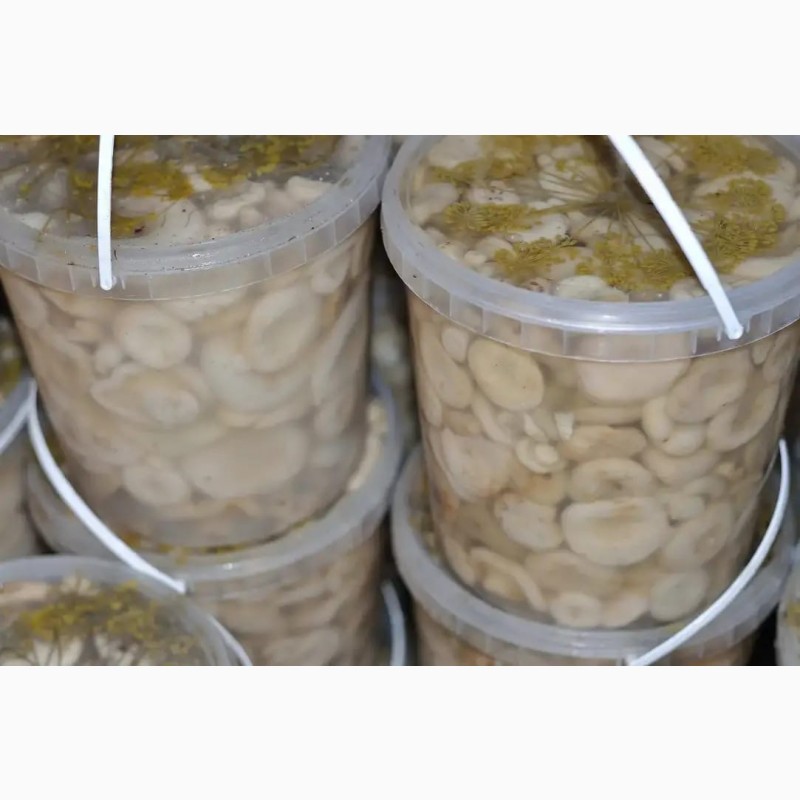 Фото 2. Продаем грибы грузди соленые оптом