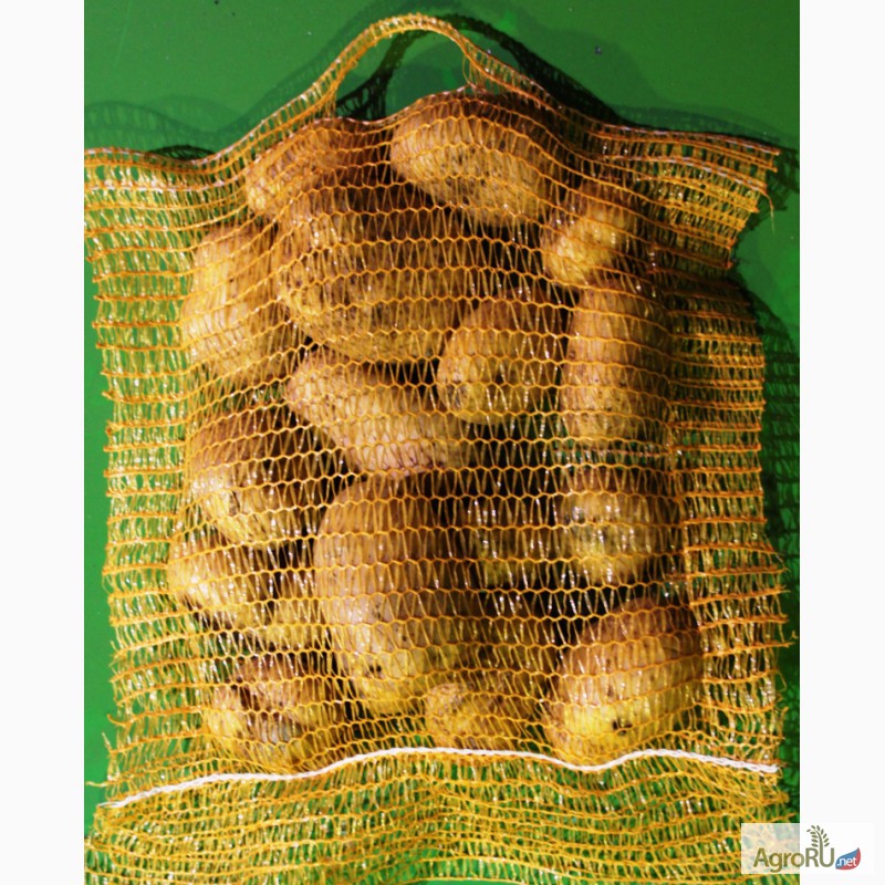Фото 3. Машина автоматическая мешкозашивочная для овощей картофеля фруктов маус-25