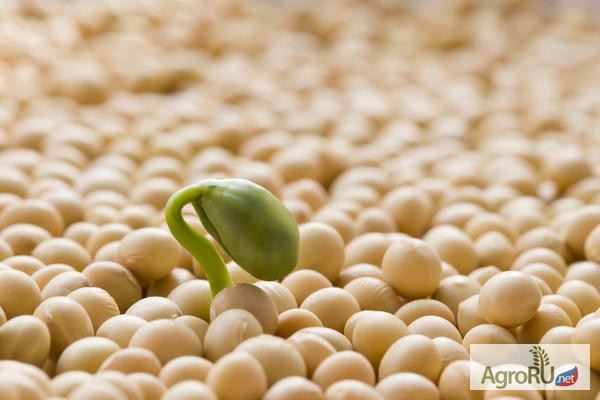 Аквамара 1» предпосевная обработка семян