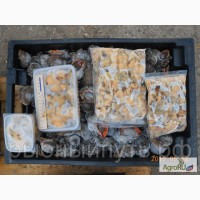 Мясо моллюска рапана свежемороженое оптом от производителя в Керчи