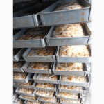 Мясо моллюска рапана свежемороженое оптом от производителя в Керчи