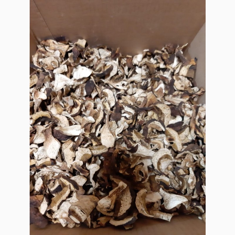 Фото 2. Сушеные белые грибы по 1500р/кг