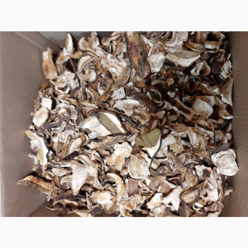 Фото 3. Сушеные белые грибы по 1500р/кг