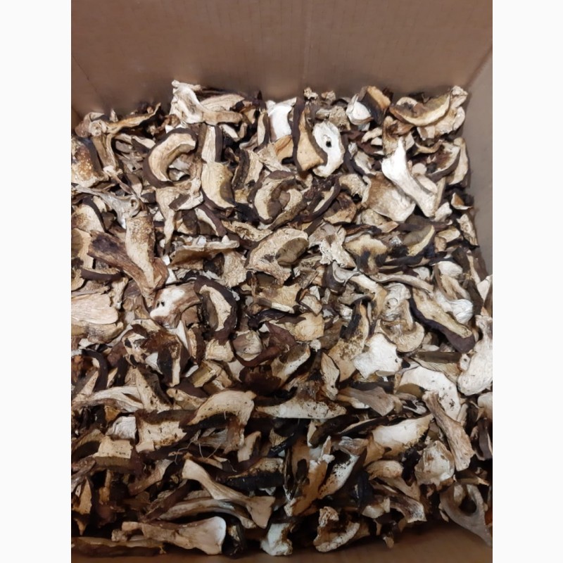 Фото 4. Сушеные белые грибы по 1500р/кг