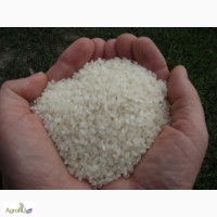 Кубанский рис от производителя. ГОСТ и ТУ, 1 сорт