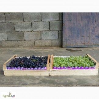 Компания Крымагротара, ящики для упаковки винограда
