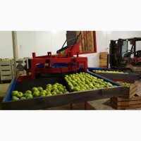 Машина для калибровки яблок по диаметру (Россия)