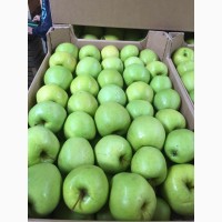 Яблоки калиброванные оптом от производителя