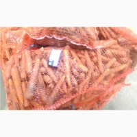 Картофель и морковь, 1-2 сорт оптом, Брянская область