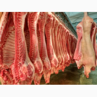 Мясо свинина Оптом от производителя