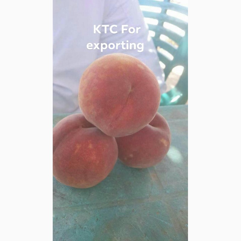Фото 5. Продам свежие персики из Египта