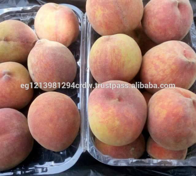 Фото 6. Продам свежие персики из Египта