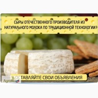 Cыр твердых сортов и сырный продукт оптом