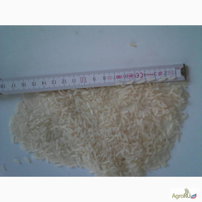 Фото 3. Продаем Лучшие сорта узбекского риса от производителя