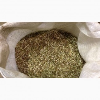 Клевер красный трава (оптом от 5кг)