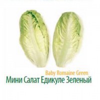 Мини :овощи и зелень напрямую с плантаций и теплиц Турции