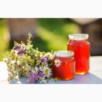 Продам Алтайский мёд от пчеловода с 30-ти летним опытом