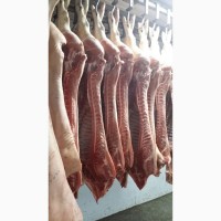 ООО Сантаринпродаёт свинину 1-2 категории, говядину 1-й кат(бычки)