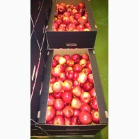 Реализация яблок