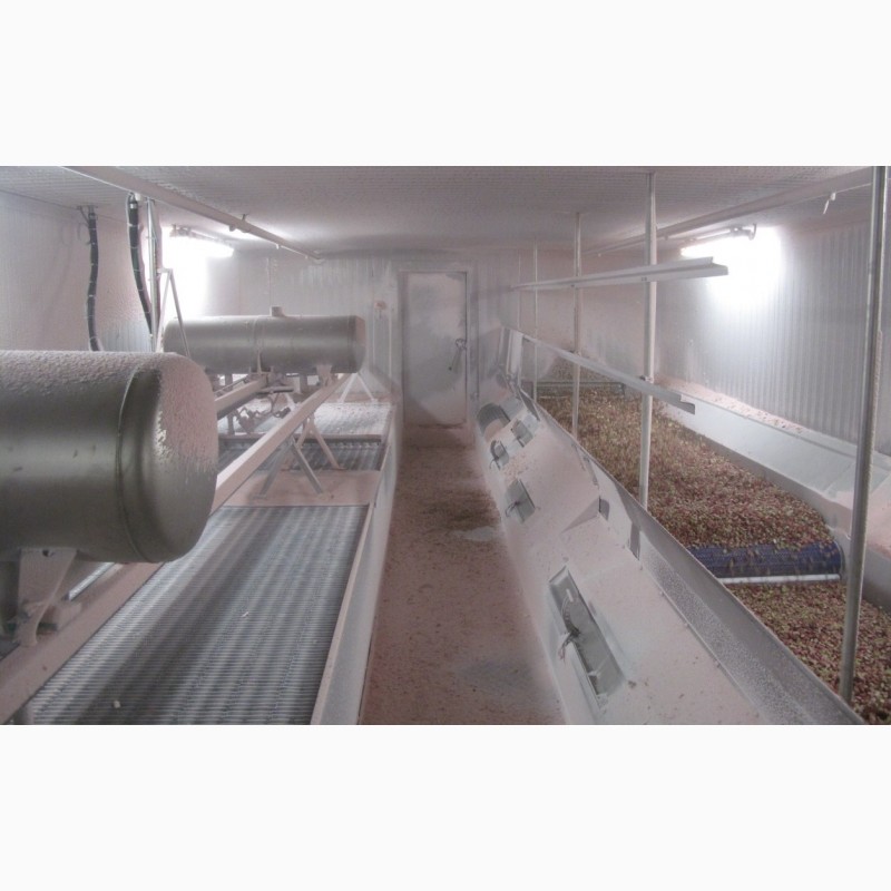 Фото 7. Шоковая Заморозка овощей и фруктов (камеры, туннели, шкафы)