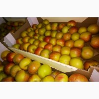 Яблоки Фуджи, сорт 2, калибр 70-75+ от 10 тонн в картонном лотке 60х40, вес 13-15кг мытые