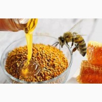 Продам мед цветочный, пыльцу (обножка) 2021 года