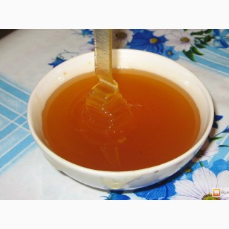 Натуральный мёд оптом из Крыма