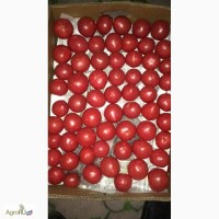 Продам помидоры (розовые)