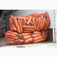 Морковь оптом, от ФХ 8р, урожай 2020 г