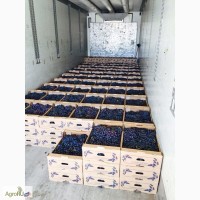 Свежий столовый виноград в ассортименте оптом